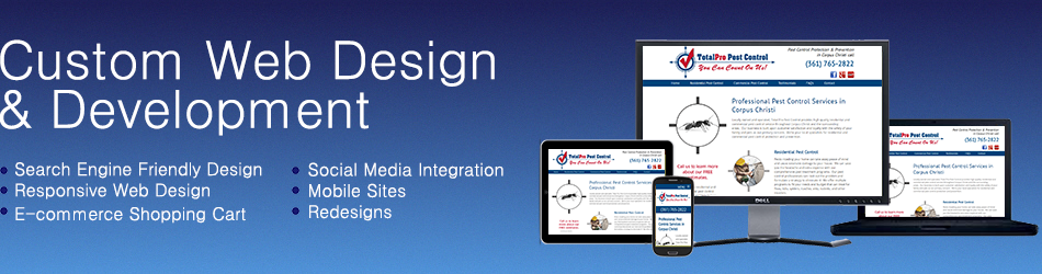 South Houston  texas Website Design